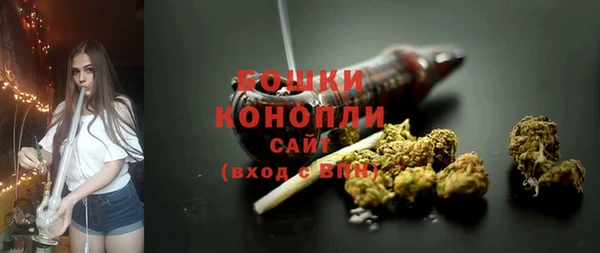сатива Пролетарск