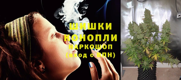 сатива Пролетарск