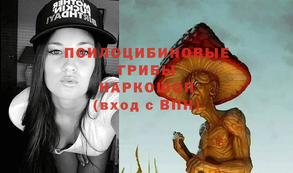 гидра Абдулино