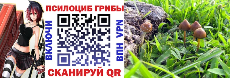 Псилоцибиновые грибы GOLDEN TEACHER  хочу наркоту  Гурьевск 